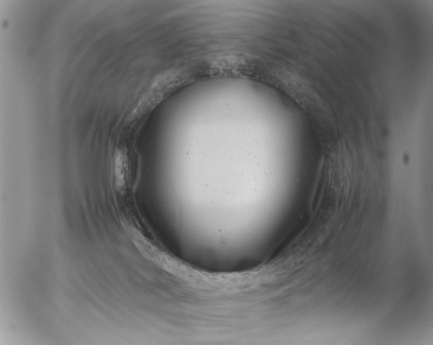 X0000057080038200509231635