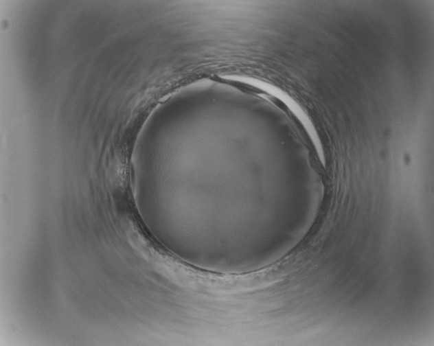 X0000057080039200509231635