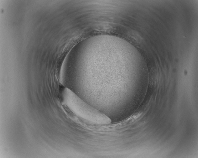 X0000057080040200509231635