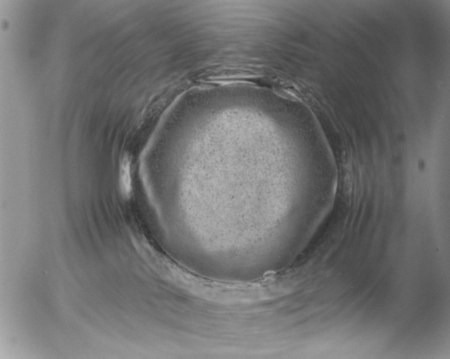 X0000057080042200509231635