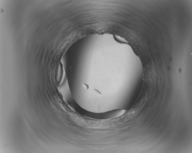 X0000057080044200509231635