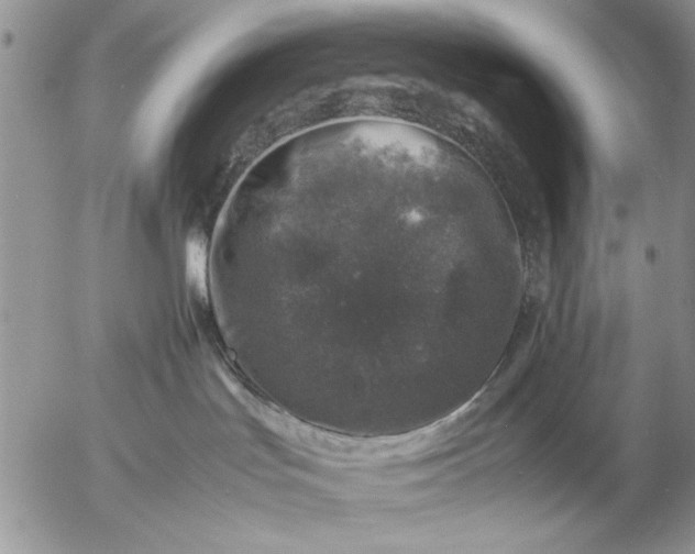 X0000057080047200509231635