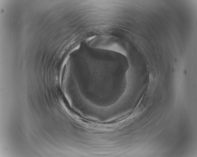 X0000057080048200509231635