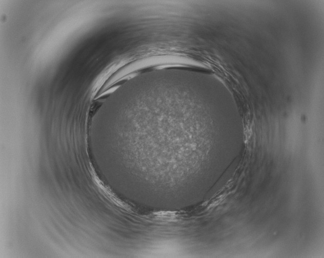 X0000057080052200509231634