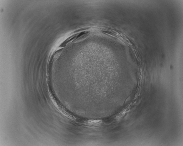 X0000057080055200509231634