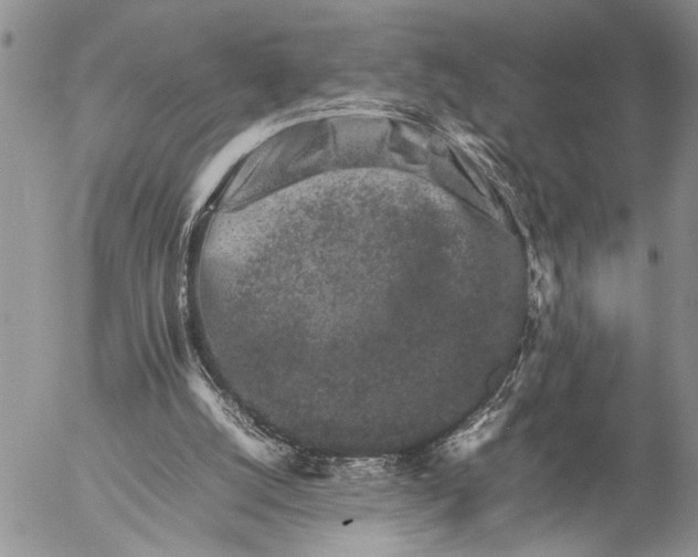 X0000057080056200509231634