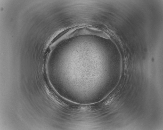 X0000057080060200509231634