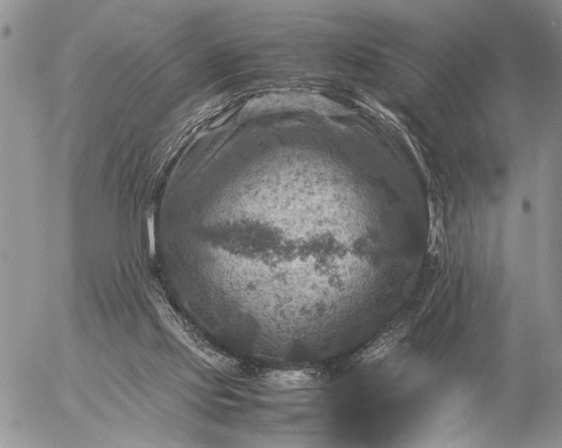 X0000057080061200509231634