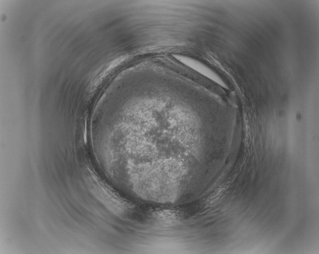 X0000057080062200509231634