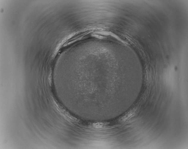 X0000057080064200509231634