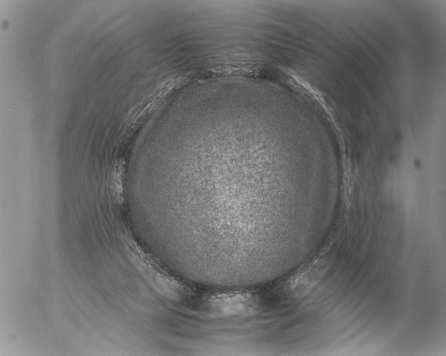 X0000057080065200509231634