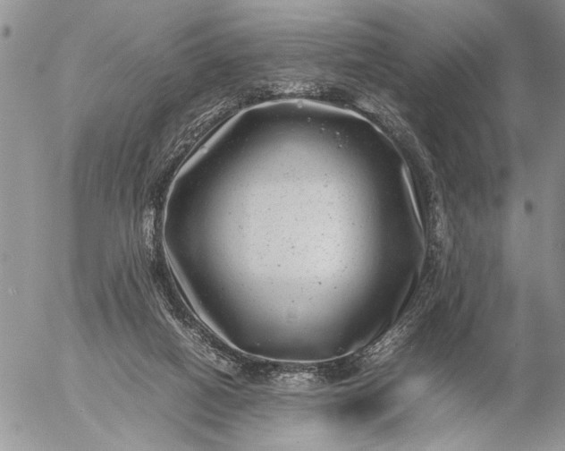 X0000057080066200509231635