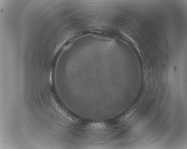 X0000057080067200509231635