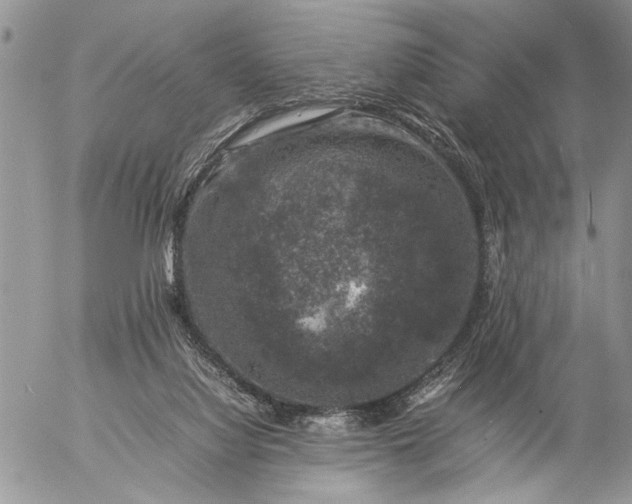 X0000057080068200509231635