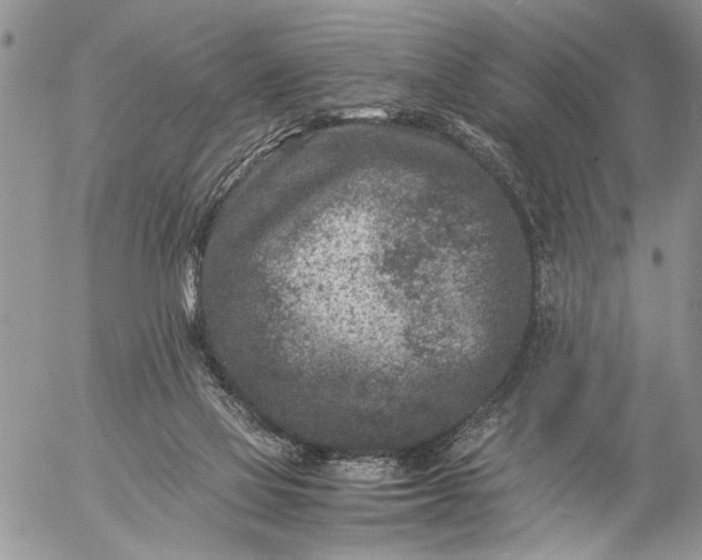 X0000057080069200509231635