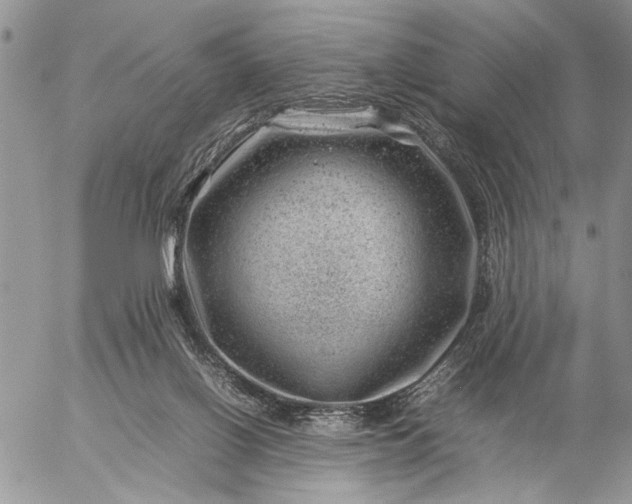 X0000057080070200509231635