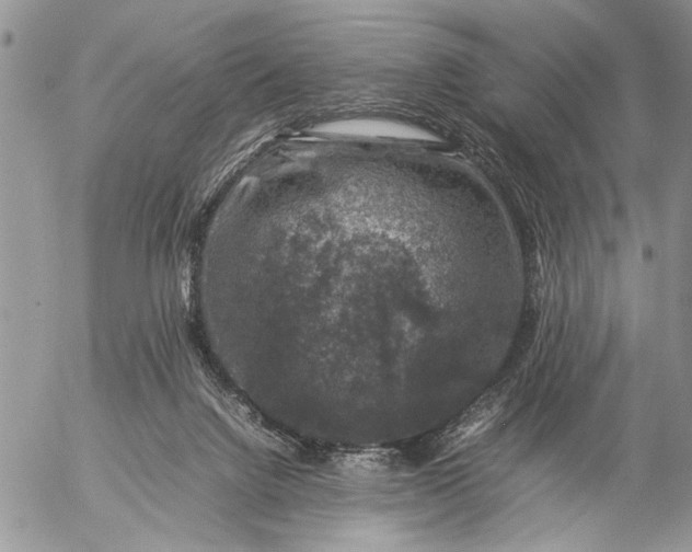 X0000057080072200509231635