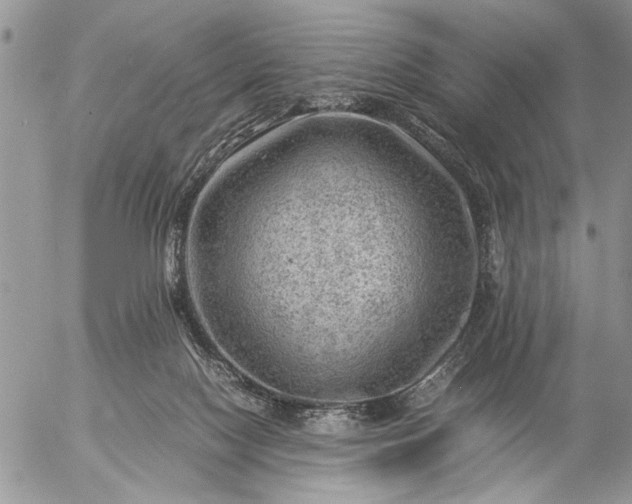 X0000057080074200509231635