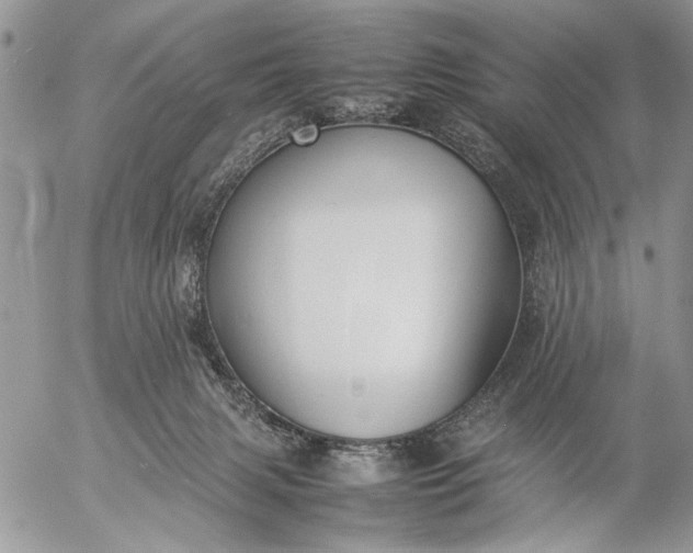 X0000057080079200509231635