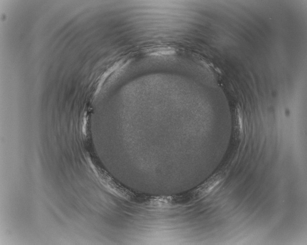 X0000057080080200509231635