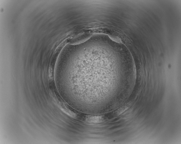 X0000057080081200509231635