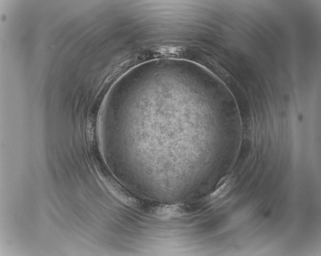 X0000057080086200509231635