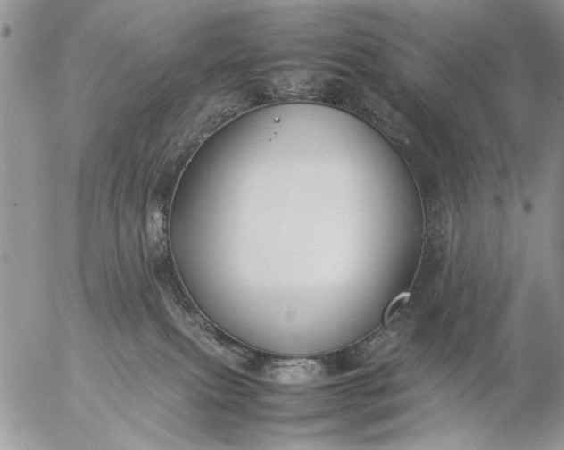 X0000057080087200509231635