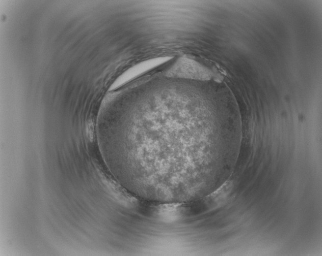 X0000057080090200509231635