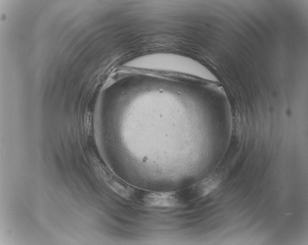 X0000057080093200509231635