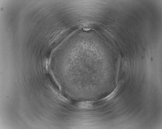 X0000057080094200509231635