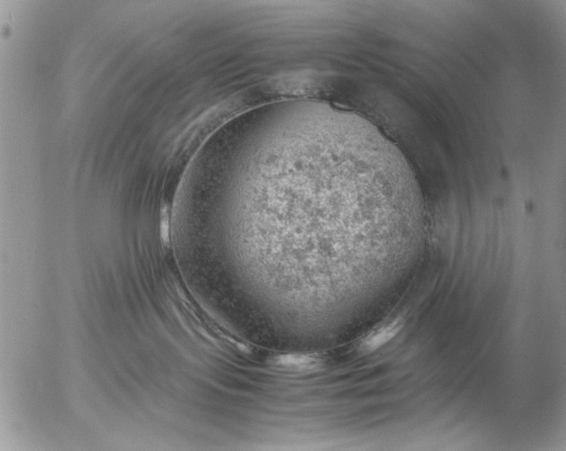 X0000057080095200509231635