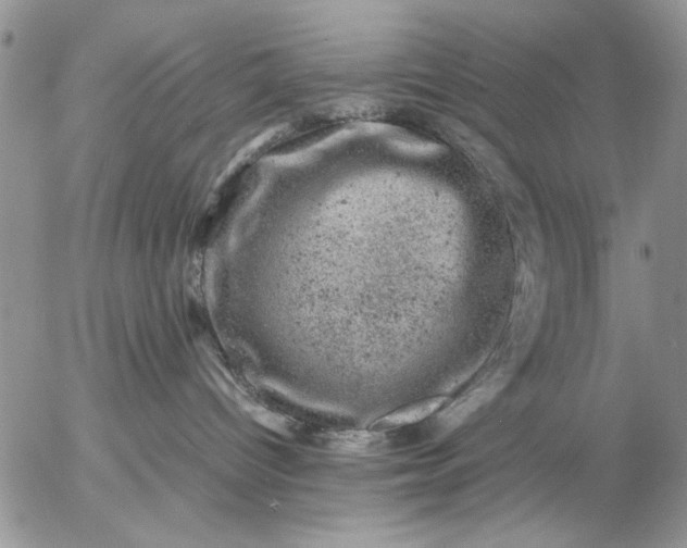 X0000057080096200509231635