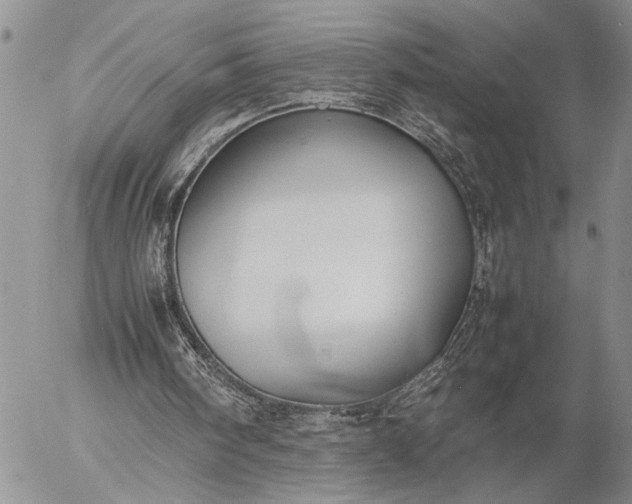 X0000057080098200509231634