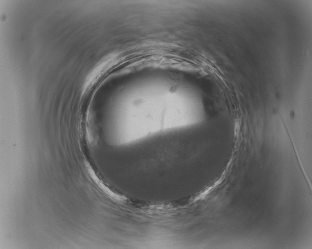 X0000057080101200509231634