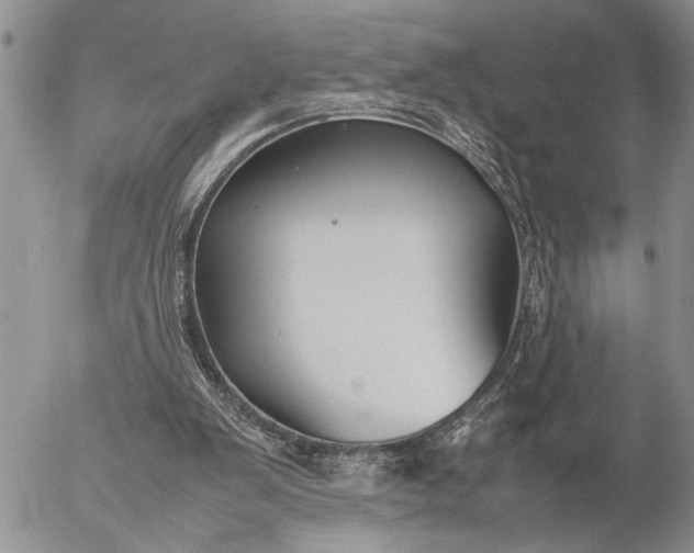 X0000057080103200509231634