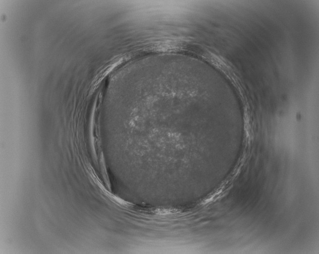 X0000057080105200509231634