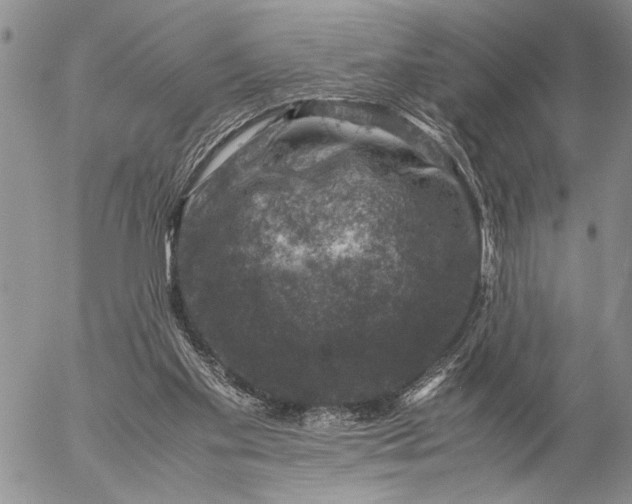 X0000057080109200509231634