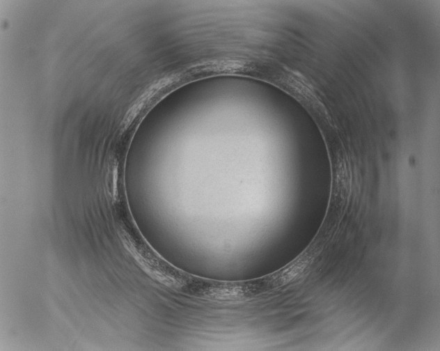 X0000057080110200509231634