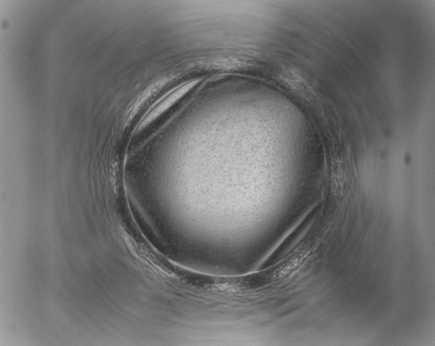 X0000057080111200509231634