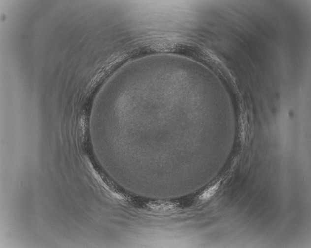 X0000057080113200509231634