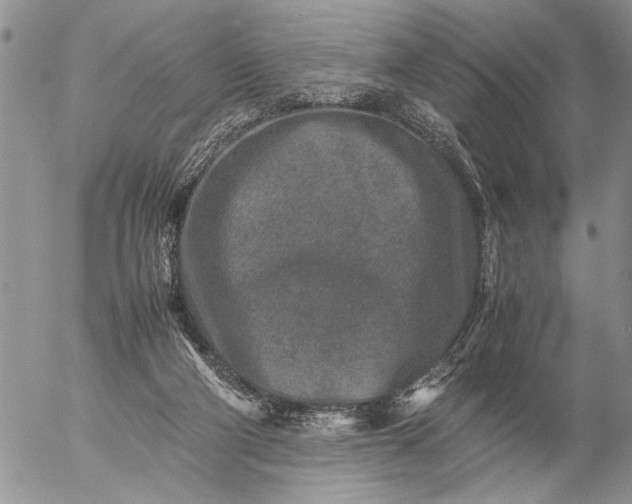 X0000057080114200509231634