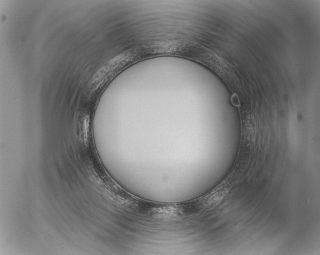 X0000057080118200509231634