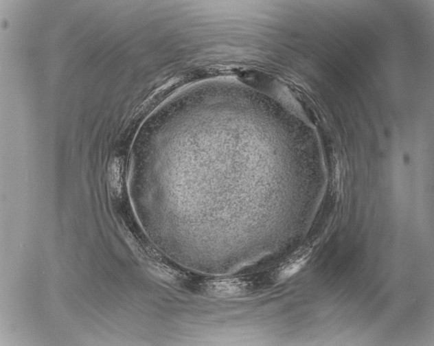 X0000057080121200509231634