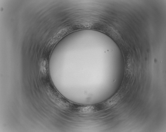 X0000057080122200509231634