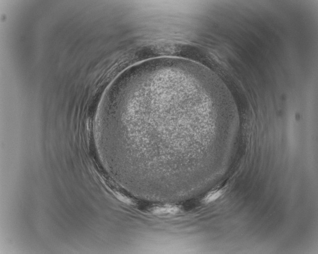 X0000057080125200509231634