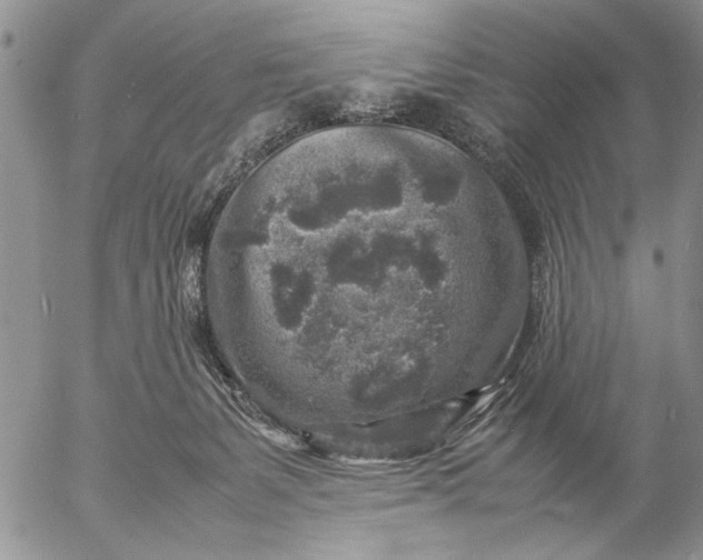 X0000057080127200509231634