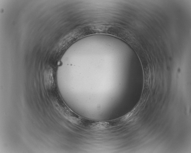 X0000057080128200509231634