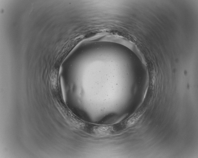 X0000057080129200509231634