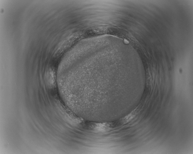 X0000057080130200509231634