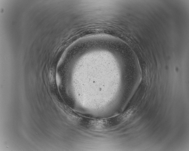 X0000057080131200509231634